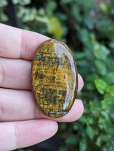 Load image into Gallery viewer, Neelite Oval Cabochons