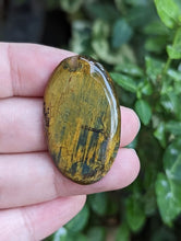 Load image into Gallery viewer, Neelite Oval Cabochons