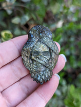 Load image into Gallery viewer, Clearance Labradorite Carvings