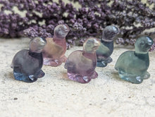 Load image into Gallery viewer, Fluorite Mini Carving - Brachiosaurus Dinosaur