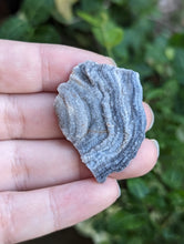 Load image into Gallery viewer, Chalcedony Rosettes - Freeform