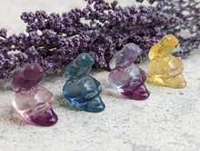 Load image into Gallery viewer, Fluorite Mini Carving - Skull with Raven