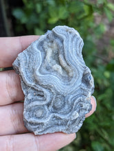 Load image into Gallery viewer, Chalcedony Rosettes - Freeform