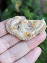 Load image into Gallery viewer, Chalcedony Rosettes - Freeform