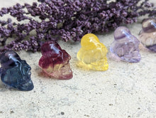 Load image into Gallery viewer, Fluorite Mini Carving - Skull with Octopus