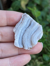 Load image into Gallery viewer, Chalcedony Rosettes - Freeform