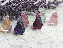 Load image into Gallery viewer, Fluorite Mini Carving - Rabbit