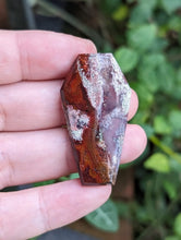 Load image into Gallery viewer, Scenic Red Moss Agate Coffin Cabochons