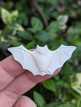 Load image into Gallery viewer, Bone Bat Cabochons