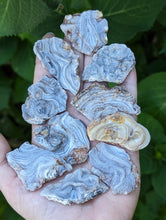 Load image into Gallery viewer, Chalcedony Rosettes - Freeform