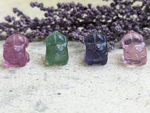 Load image into Gallery viewer, Fluorite Mini Carving - Bulbasaur