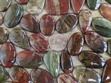 Load image into Gallery viewer, Cherry Creek Jasper Cabochons