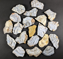 Load image into Gallery viewer, Chalcedony Rosettes - Freeform