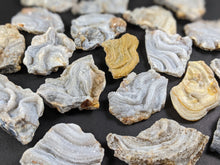 Load image into Gallery viewer, Chalcedony Rosettes - Freeform