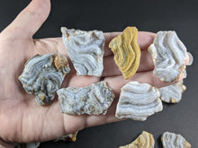 Load image into Gallery viewer, Chalcedony Rosettes - Freeform