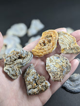 Load image into Gallery viewer, Chalcedony Rosettes - Freeform