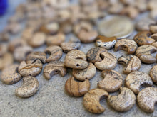 Load image into Gallery viewer, Picture Jasper Crescent Moon Beads