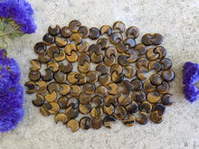 Load image into Gallery viewer, Tigers Eye Crescent Moon Beads