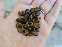 Load image into Gallery viewer, Tigers Eye Crescent Moon Beads