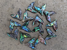 Load image into Gallery viewer, Abalone Mermaid Tails
