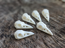 Load image into Gallery viewer, Bone Raven Skulls (Drilled)