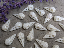 Load image into Gallery viewer, Bone Raven Skulls (Drilled)