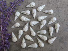 Load image into Gallery viewer, Bone Raven Skulls (Drilled)