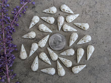 Load image into Gallery viewer, Bone Raven Skulls (Drilled)