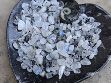 Load image into Gallery viewer, Moonstone Chips - 1 Ounce