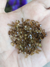 Load image into Gallery viewer, Champagne Quartz Marquise Facets - 3x6mm