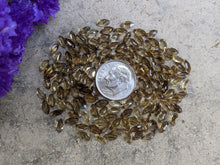 Load image into Gallery viewer, Champagne Quartz Marquise Facets - 3x6mm