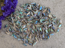 Load image into Gallery viewer, Abalone Diamonds