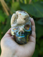 Load image into Gallery viewer, Aura Druzy Skulls