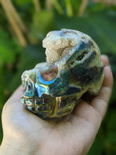 Load image into Gallery viewer, Aura Druzy Skulls