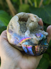 Load image into Gallery viewer, Aura Druzy Skulls