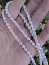 Load image into Gallery viewer, Private Listing for Chelle
