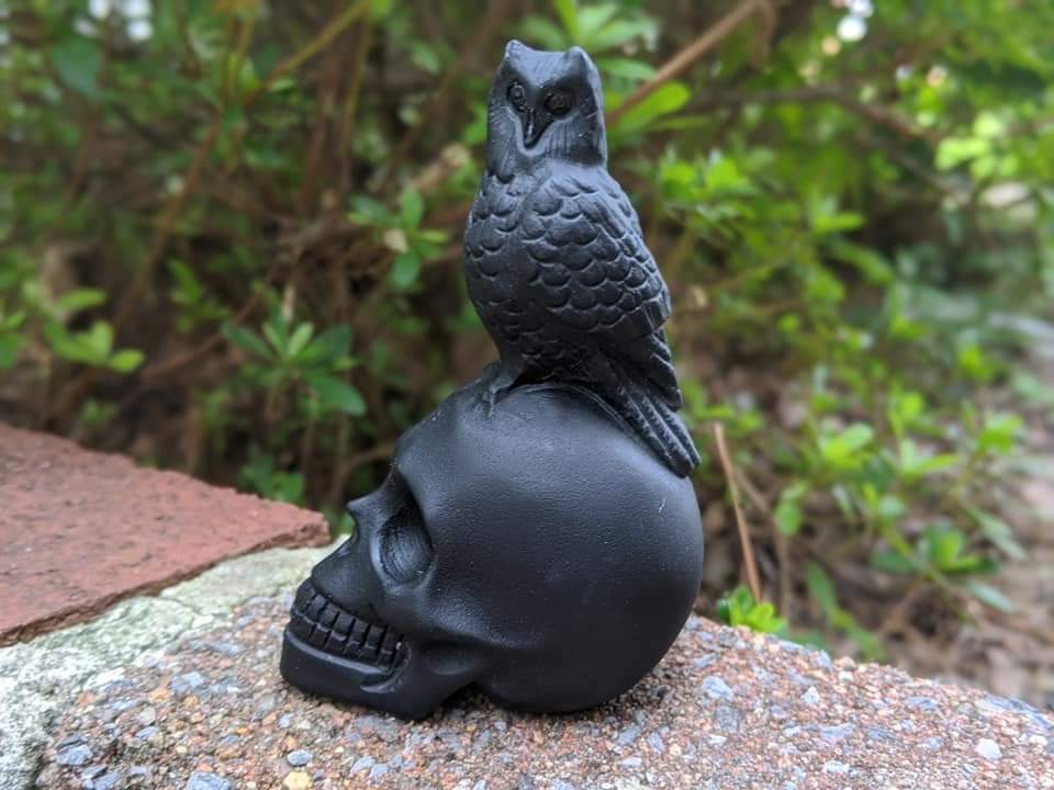 Obsidian Skull and Owl Display
