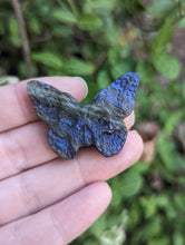 Load image into Gallery viewer, Labradorite Death Head Moth Carving
