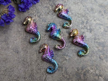 Load image into Gallery viewer, Bismuth Seahorse
