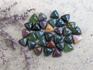 Fancy Jasper / Indian Agate Trillion Cabochons - 10mm