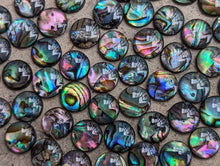 Load image into Gallery viewer, Abalone Round Cabochons - 8mm
