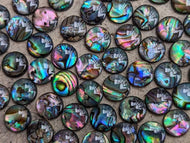 Abalone Round Cabochons - 8mm