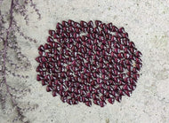 Rhodolite Garnet Trillion Cabochons - 5mm