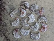 Crazy Lace Agate Crescent Moon Cabochons