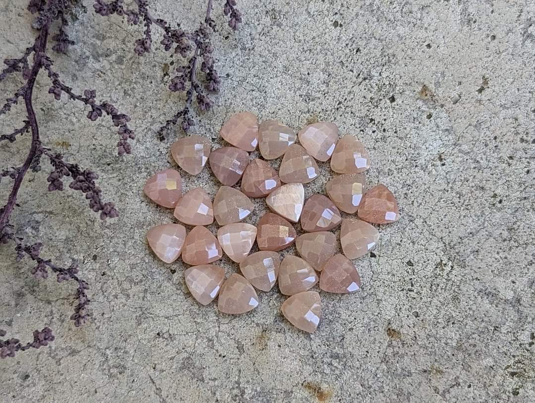 Peach Moonstone Rose Cut Trillions - 7mm