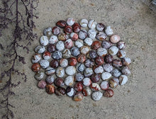 Load image into Gallery viewer, Mexican Crazy Lace Agate Cabochons - Mixed Shapes
