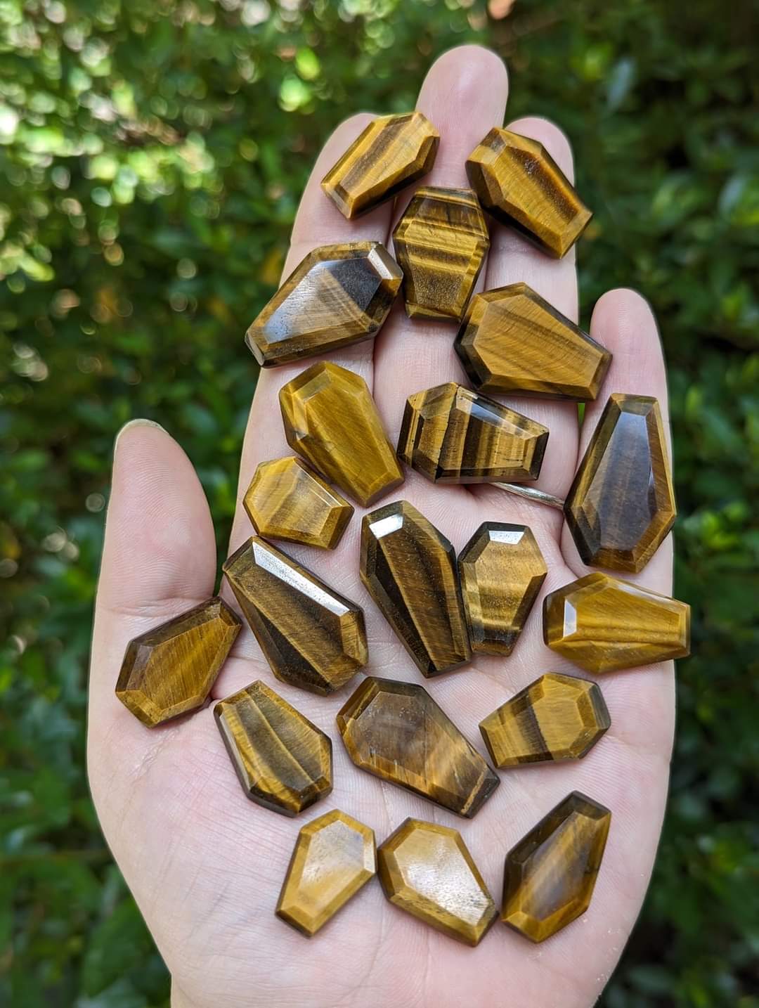 Tigers Eye Coffin Cabochons