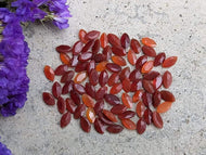 Carnelian Marquise Facets - 4x8mm (Closeout)