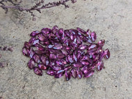 Umbalite (Purple Garnet) Marquise Facets - 3x6mm