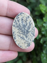 Load image into Gallery viewer, German Psilomelane Dendrite Cabochons
